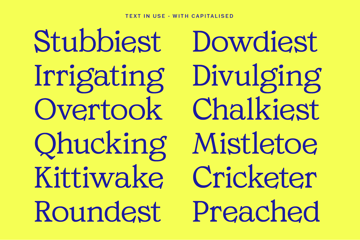 MTC Ciscela - Unique Serif Display, a Serif Font by Martype Co (Photo 8 of 9)