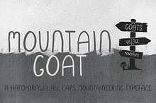 Mountain Goat