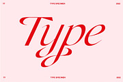 Champagne Cartel Family, a Serif Font by Tropical Type (Thumbnail 15 of 17)