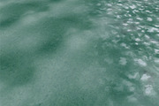 AUTUMN AND WINTER TEXTURE PACK, a Textures & Material 3D Model by Beatheart Creative Studio (Thumbnail 25 of 58)