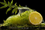 Citrus Art - 25 images, a Food Illustration by Handmadefont (Thumbnail 7 of 10)