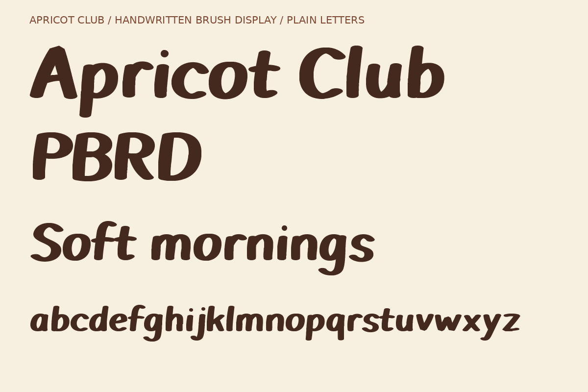 Apricot Club Bold Handwritten Brush, a Handwritten Font by Colorsfav (Photo 7 of 11)
