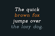 Typetopia Eroded Serif Typeface, a Handwritten Font by alpercakici (Thumbnail 13 of 17)
