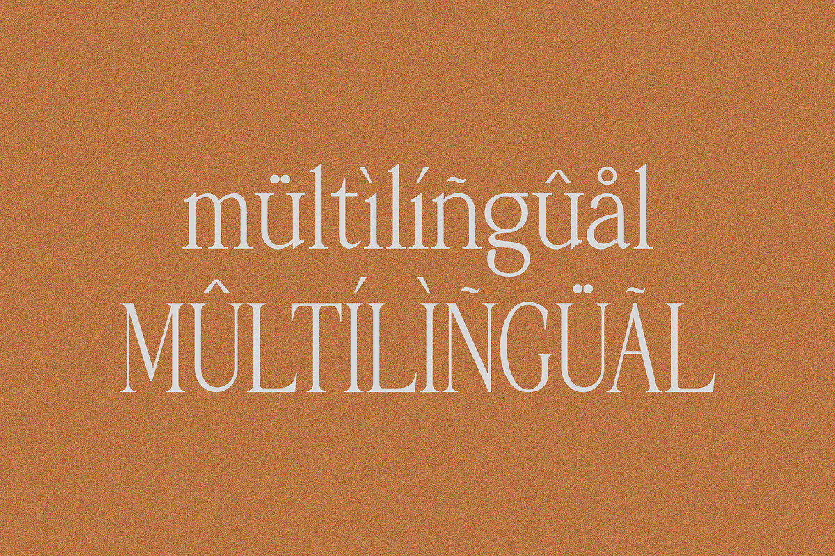 Palmorine | A Modern Serif Typeface, a Serif Font by Typoraith Co (Photo 9 of 10)