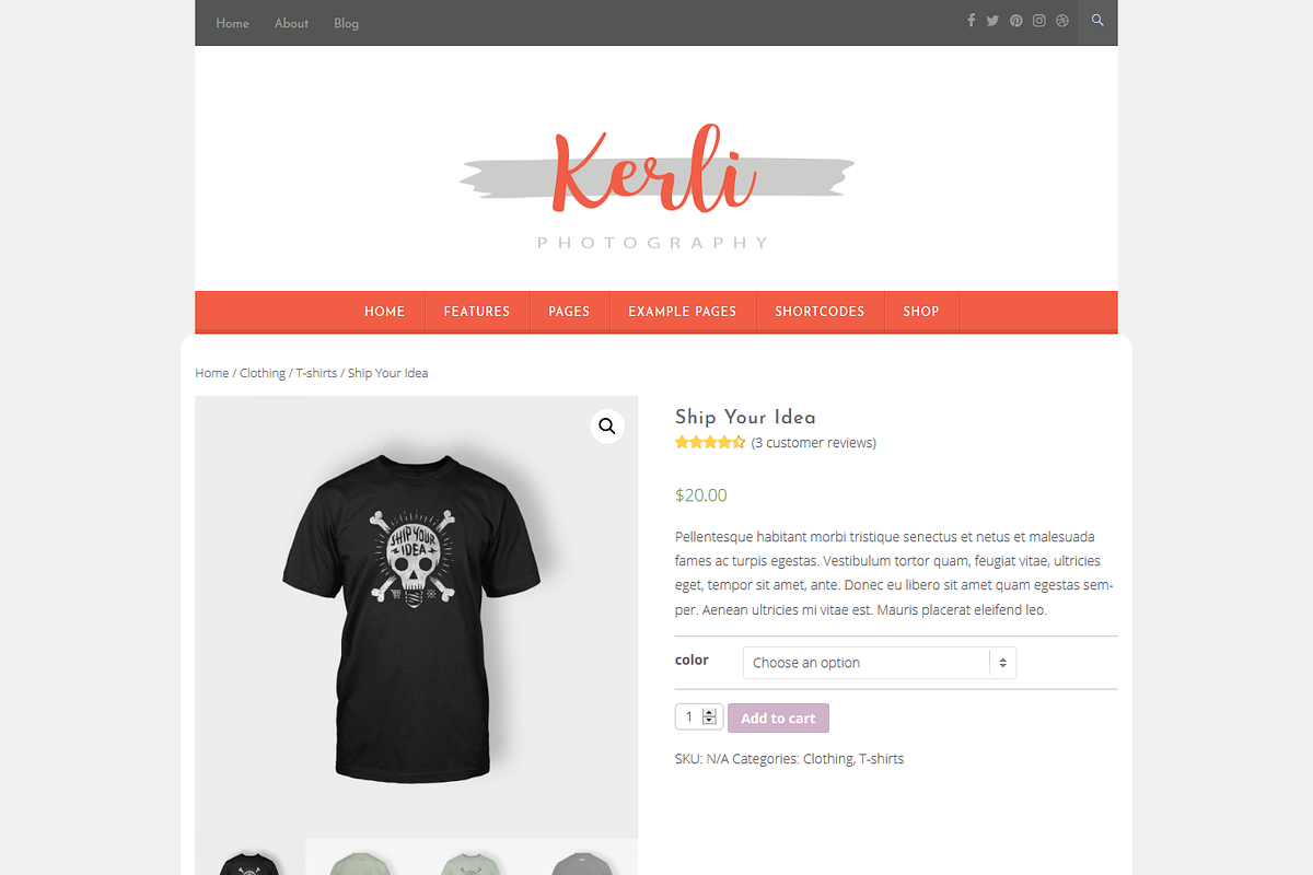 Kerli - Personal WordPress Theme, a WordPress Template by VolThemes (Photo 5 of 5)