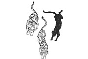 Jungle Cat Sketches, an Icon by Anastasiya Klempach (Thumbnail 6 of 10)