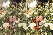 Natural Outdoor Video LUTs Pack, an Action Add-On by CityTurtles (Thumbnail 5 of 8)
