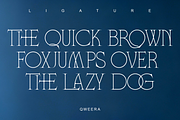 Fonca - Minimal Elegant Branding, a Serif Font by Qweera Studio (Thumbnail 8 of 12)