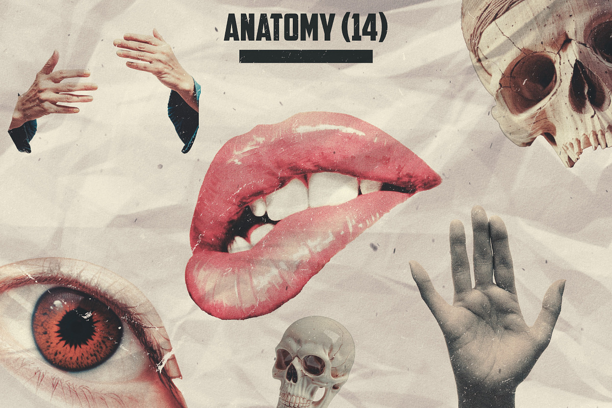 Retro Collage Kit (422 Cliparts), an Object Graphic by Megan Aili Designs (Photo 3 of 15)