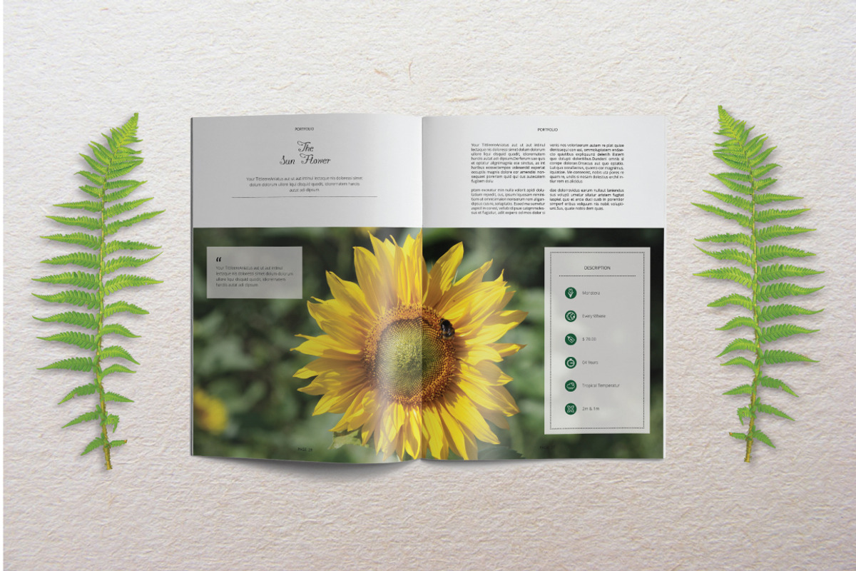 Portfolio Template Indesign Vol. 3, a Brochure Template by Tiempo co (Photo 8 of 10)