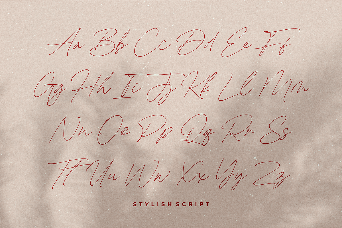 Carneys Gallery Font Duo, a Sans Serif Font by Letteralle Studios (Photo 15 of 16)