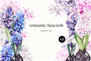 Romantic Hyacinths