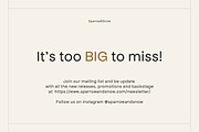 SALE! Social Kit BUNDLE Canva and PS, a Social Media Template by Sparrow & Snow (Thumbnail 20 of 20)