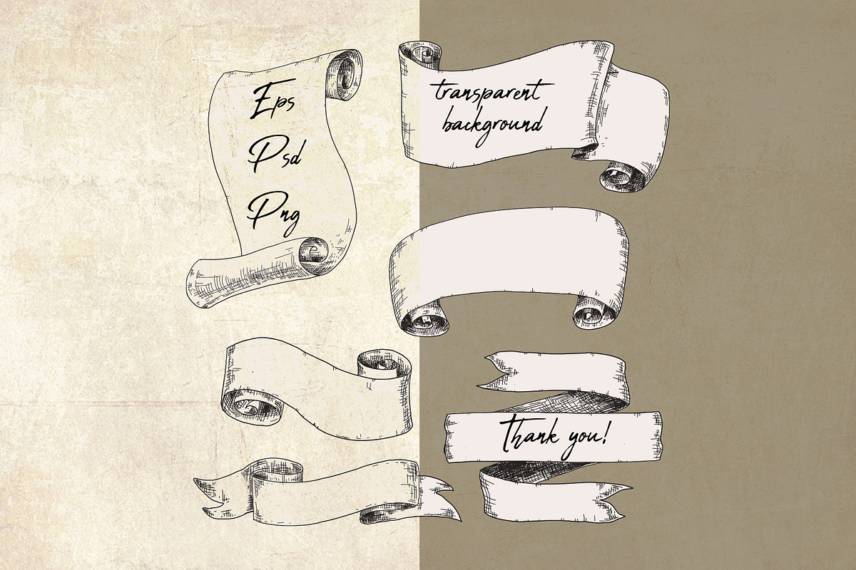 Vintage ribbons in engraving style, an Object Graphic by Alena Kaz (Photo 4 of 4)
