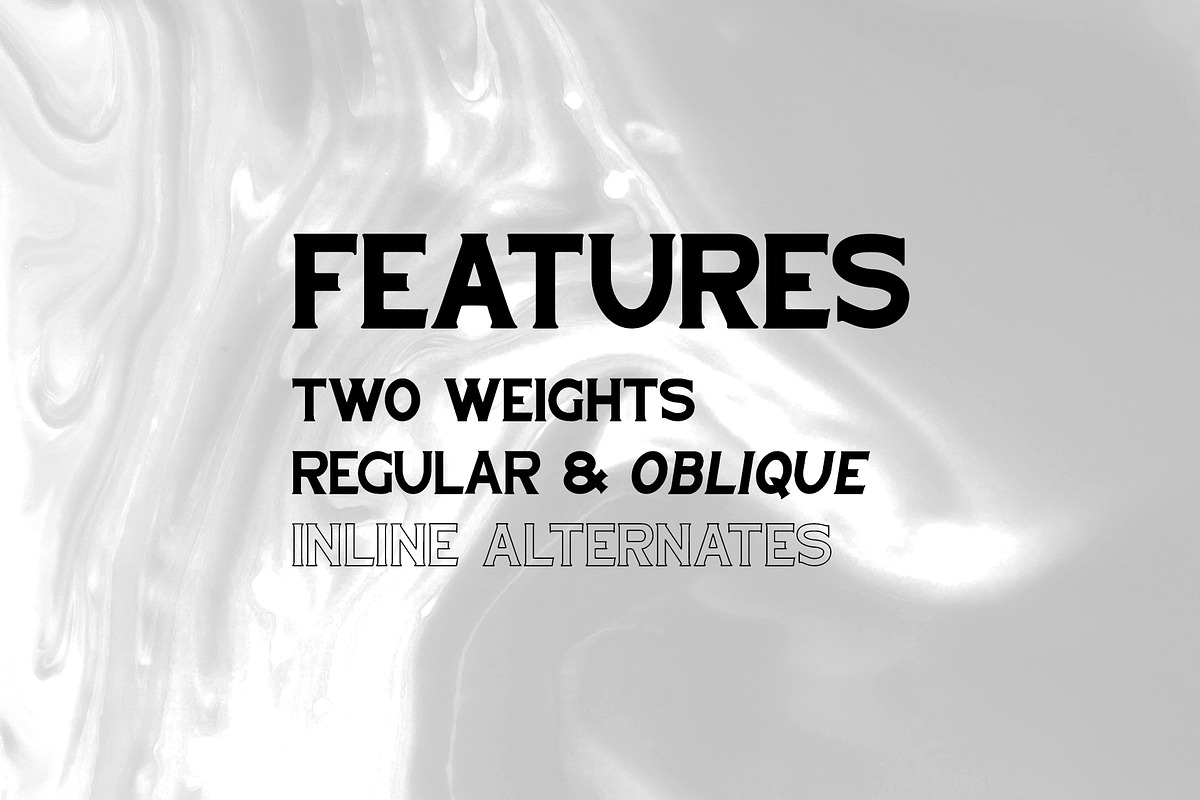 Armada / Serif Typeface, a Serif Font by Dylan Roop Design Co. (Photo 3 of 6)