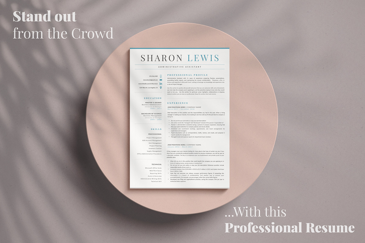 Professional Resume Format Example, a Resume Template by HIRED Design Studio (Photo 17 of 18)