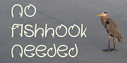 Fishhook, a Font by Ingrimayne Type (Thumbnail 1 of 6)