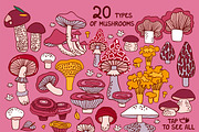 MUSHROOMS | graphics set, a Food Illustration by Nastya Tkachova (Thumbnail 3 of 10)