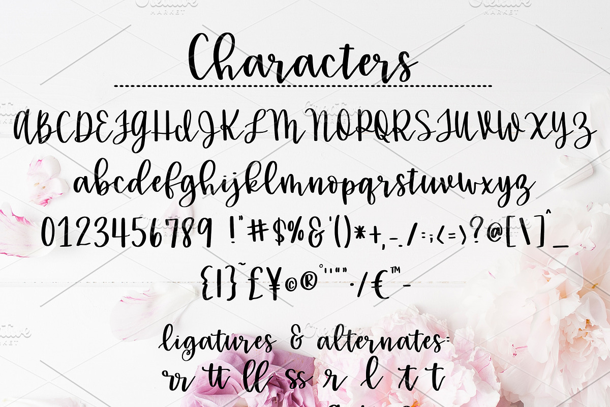 girlie script preview 5