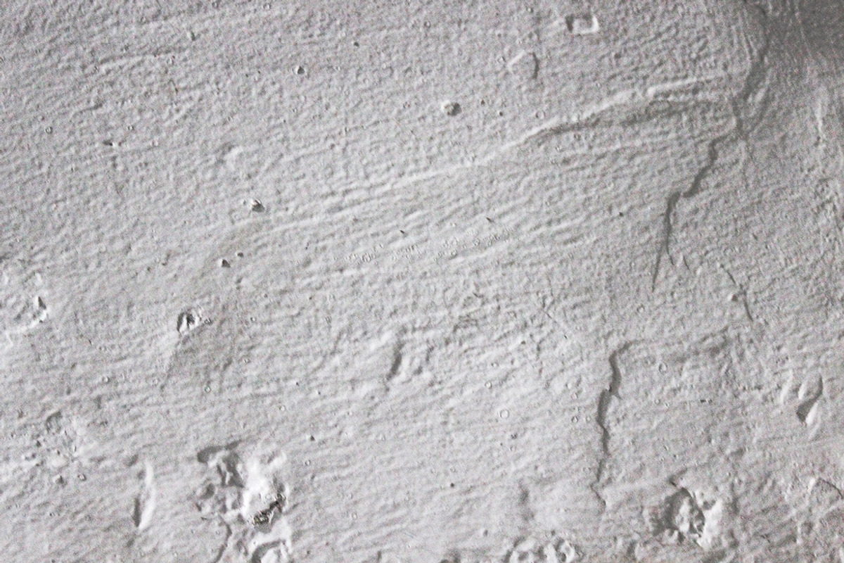 Rough Painted Concrete Texture, a Texture Graphic by Pitchlook.Studio (Photo 3 of 3)
