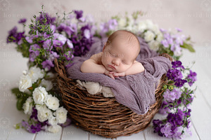 Newborn Basket Digital Backdrop