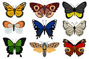 Insects, an Object Graphic by ianakauri (Thumbnail 4 of 4)
