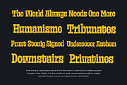 Frust Stonig - Inktrap Slab Serif, a Slab Serif Font by Variatype (Thumbnail 5 of 12)