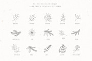 Christmas Time. Winter Bouquets., a Seasonal Illustration by Designwork (Thumbnail 15 of 19)
