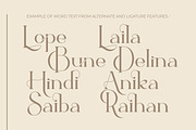 Ballein feminine serif font, a Serif Font by suhadidesign (Thumbnail 6 of 12)