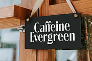Rigflia Nirsho Modern Serif Font, a Serif Font by timelesstype.co (Thumbnail 13 of 20)