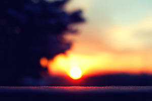 Snowy Sunrise