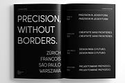 Leonardo Sans – 18 Styles, a Sans Serif Font by FactoryType Studio (Thumbnail 9 of 10)