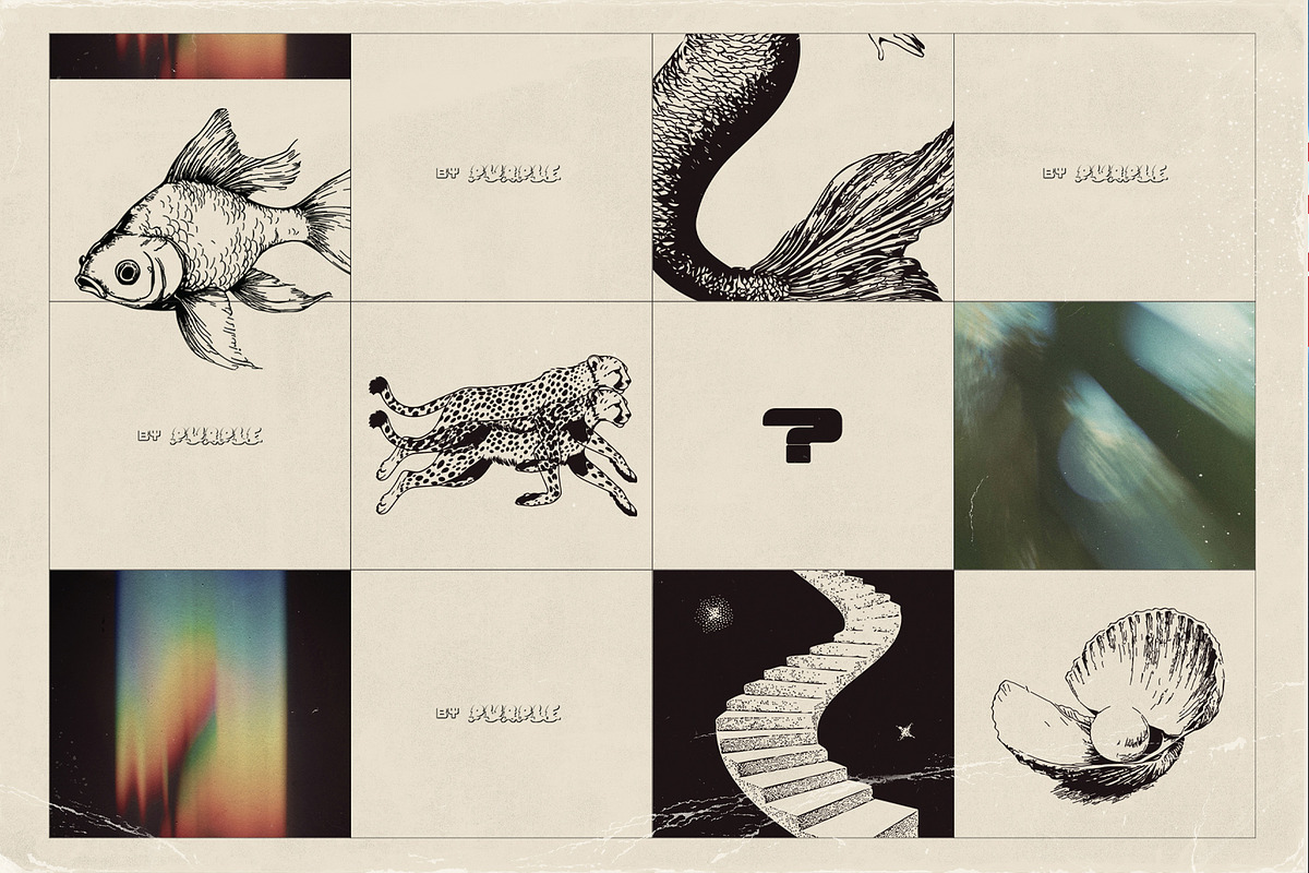 Flip Side collection, an Object Graphic by Purple (Photo 2 of 10)