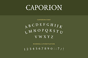 CAPORION Vectorian Serif Font, a Serif Font by UICreative (Thumbnail 2 of 5)