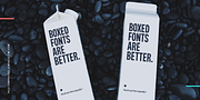 Palo, a Sans Serif Font by TypeUnion (Thumbnail 6 of 17)