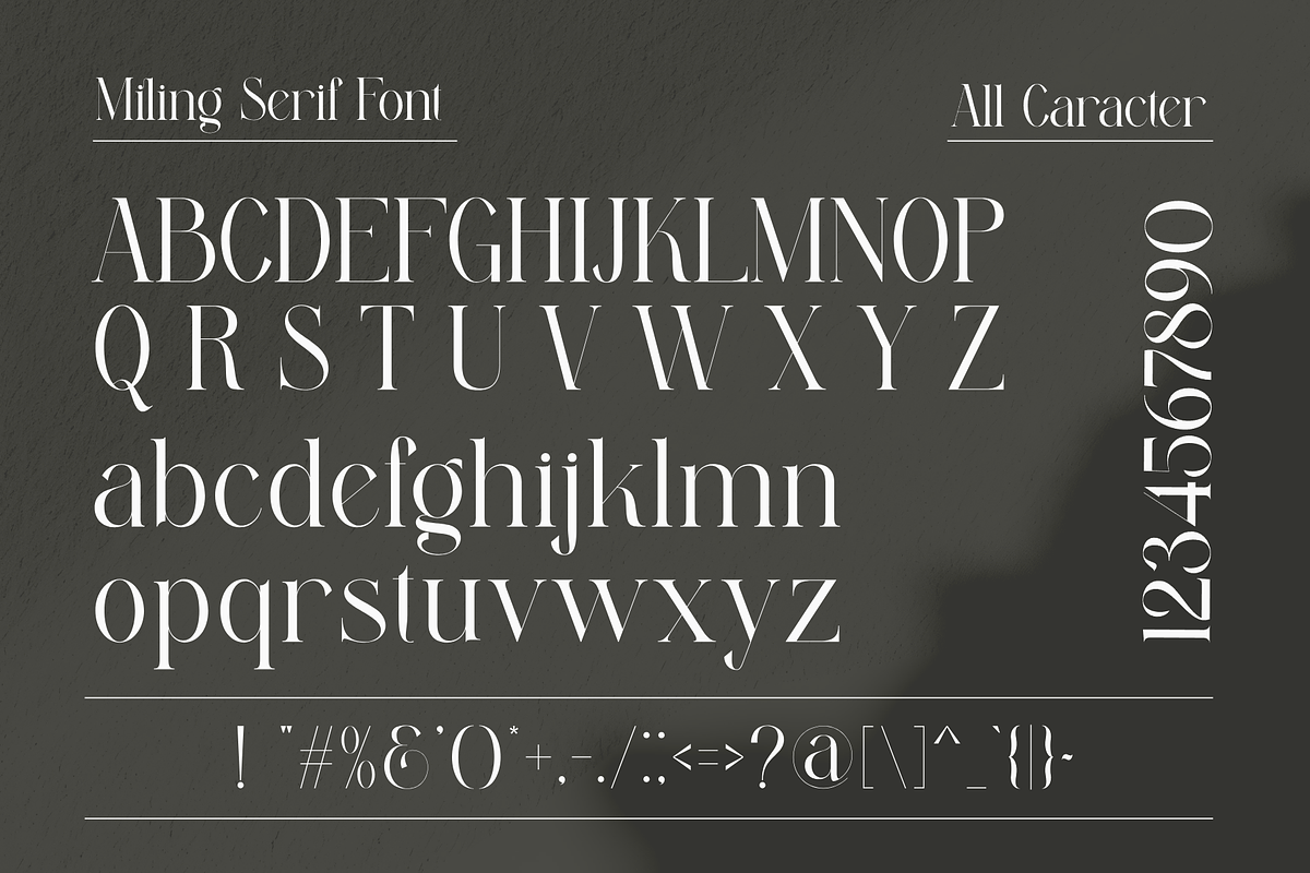 Miling Modern Serif Typeface, a Serif Font by Alfinart (Photo 8 of 10)