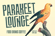 Master of Poster Tiki Font, a Sans Serif Font by Fenotype (Thumbnail 5 of 12)