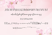 Julio Santa - Romantic Script Font, a Script Font by Namara Creative Studio (Thumbnail 8 of 14)