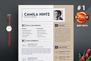 Resume/CV Bundle | 200+ for $29, a Resume Template by ResumeInventor (Thumbnail 52 of 207)