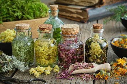 Infusion bottles, medicinal plants., a Health & Medical Photo by chamillewhite