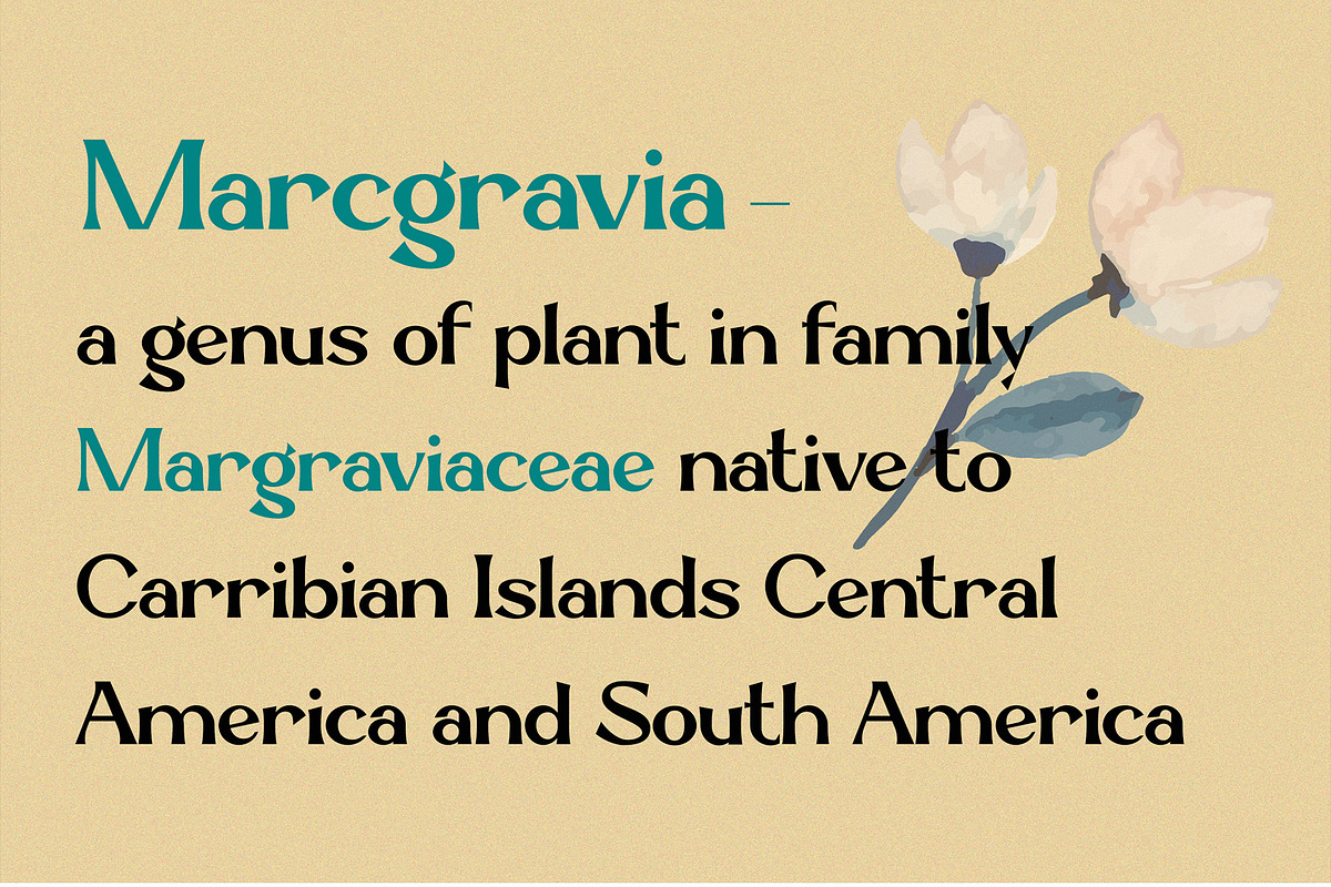 Marcgravia - Modern Serif, a Serif Font by erlosDESIGN (Photo 11 of 12)
