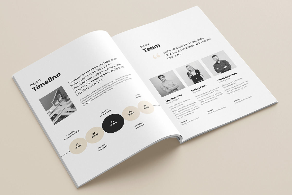 Business Proposal Template, Canva, a Brochure Template by DesVert (Photo 6 of 10)