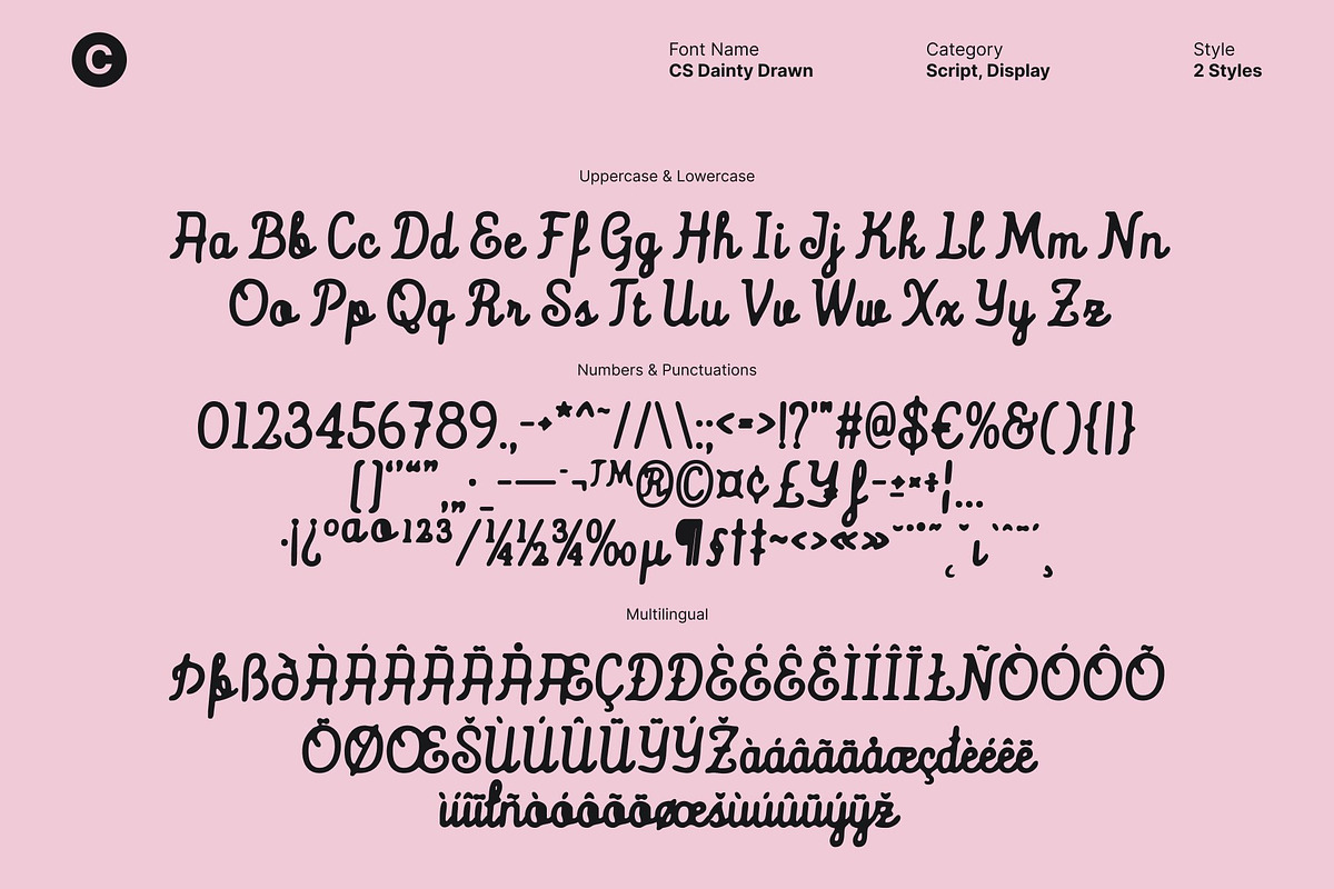 CS Dainty Drawn, a Script Font by Craft Supply Co. (Photo 8 of 8)