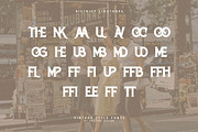 District Vintage Serif, a Serif Font by JumboDesign (Thumbnail 6 of 8)