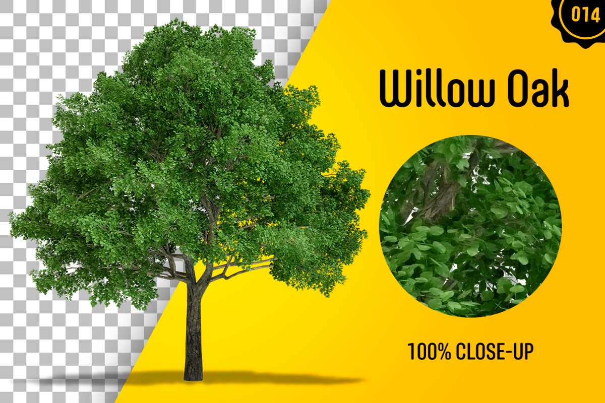 CUT OUT TREES - 60 PCS BUNDLE, a Packaging Mockup by 3DSTORE (Photo 15 of 63)