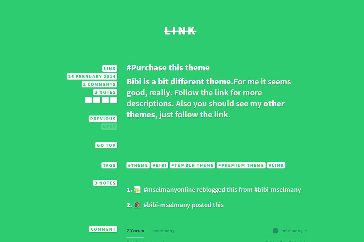 Bibi - Flat Tumblr Theme, a Websites & App Template by mselmany (Photo 5 of 5)