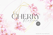 Tender Cherry Blossom, an Illustration by Olga Koelsch (Thumbnail 1 of 8)