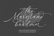 Maryland Brawlmer, a Script Font by Cititype (Thumbnail 1 of 12)