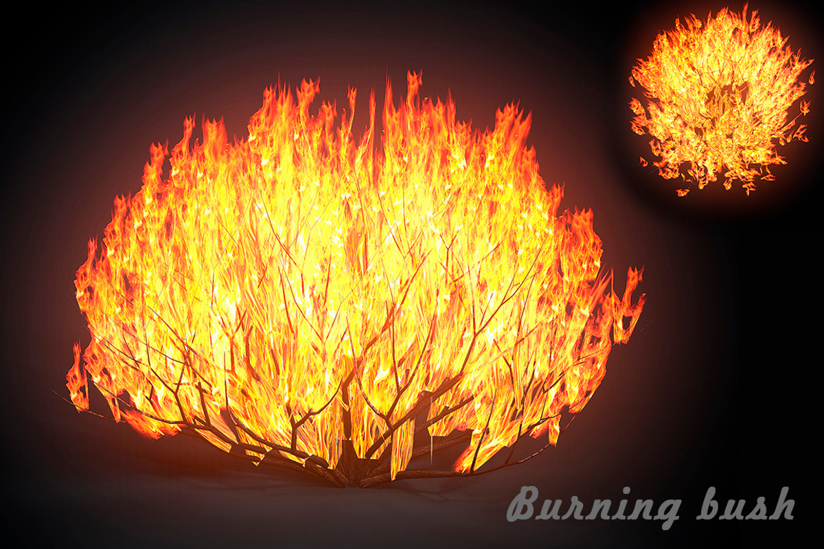 Burning bush, an Environmental 3D Model by AndrewWhite (Photo 1 of 9)