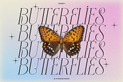 Samory Typeface, a Sans Serif Font by alit design (Thumbnail 3 of 15)
